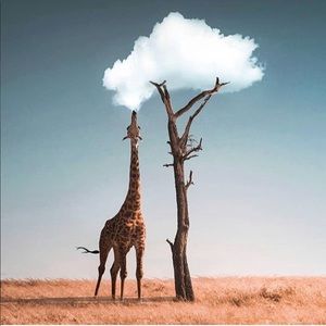 Meet your Posher, Martina